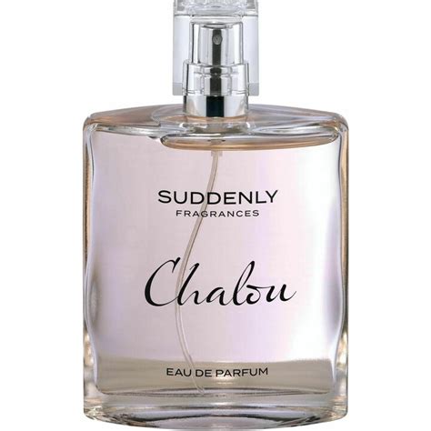 sudenly perfume is a dupe for|lidl chalou perfume dupes.